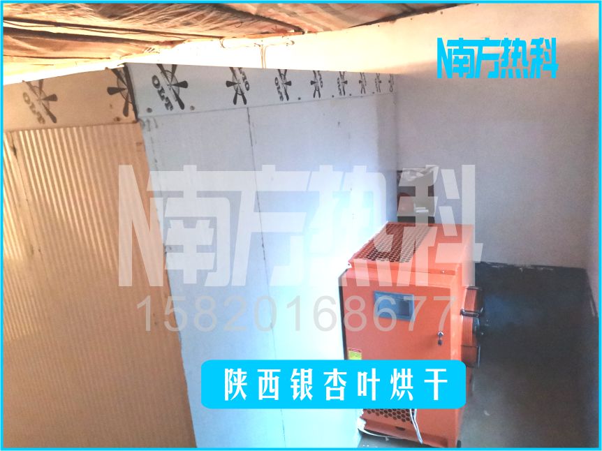 陕西银杏叶烘干