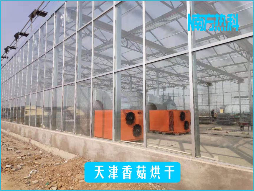 天津香菇烘干(图3)