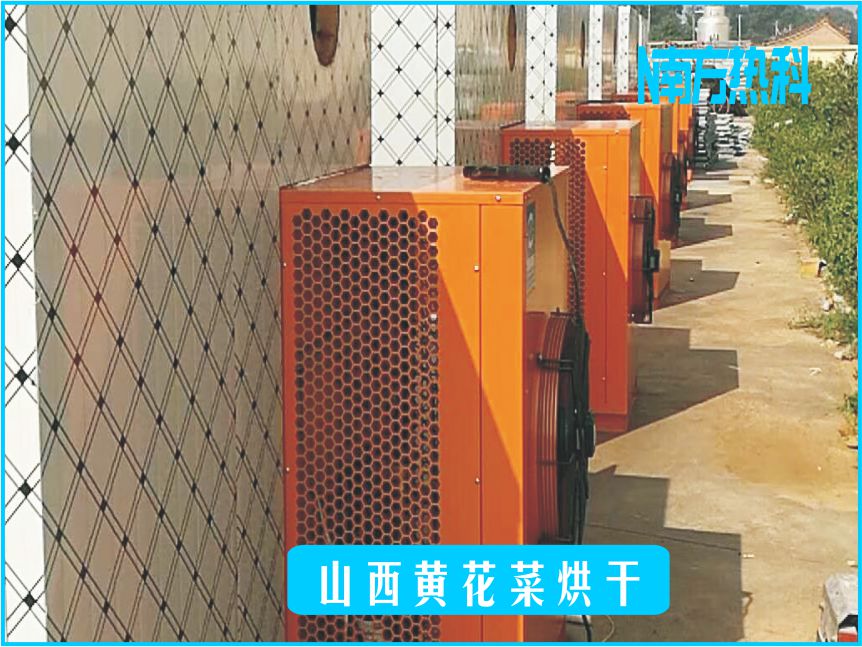 山西黄花菜烘干(图1)