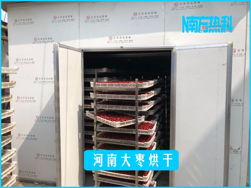 河南大枣烘干(图1)