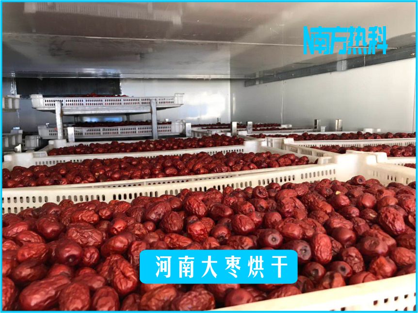 河南大枣烘干(图3)