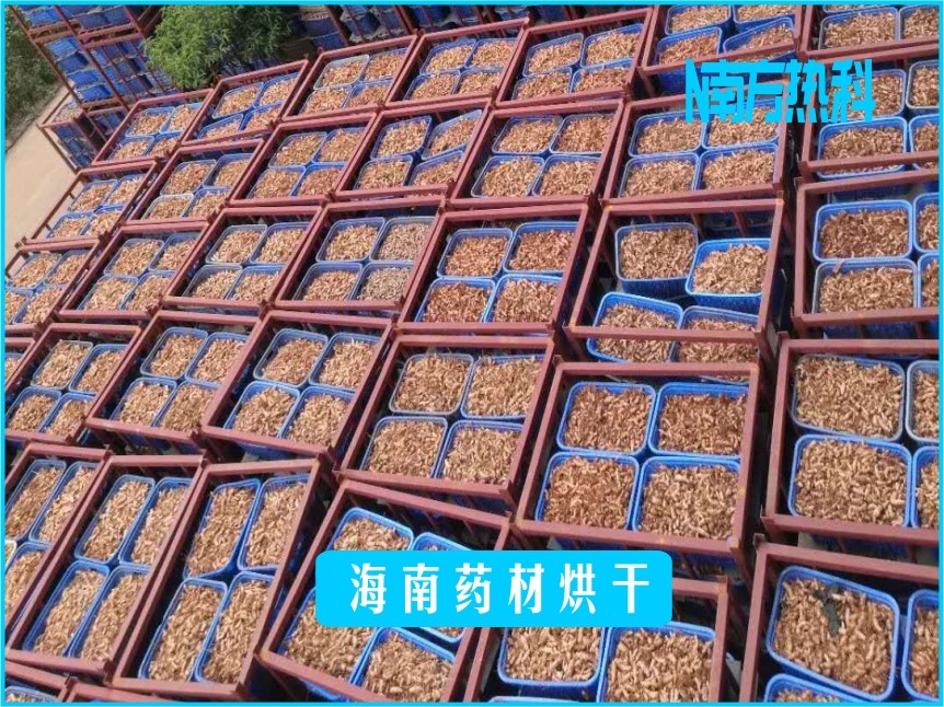 海南药材烘干(图4)