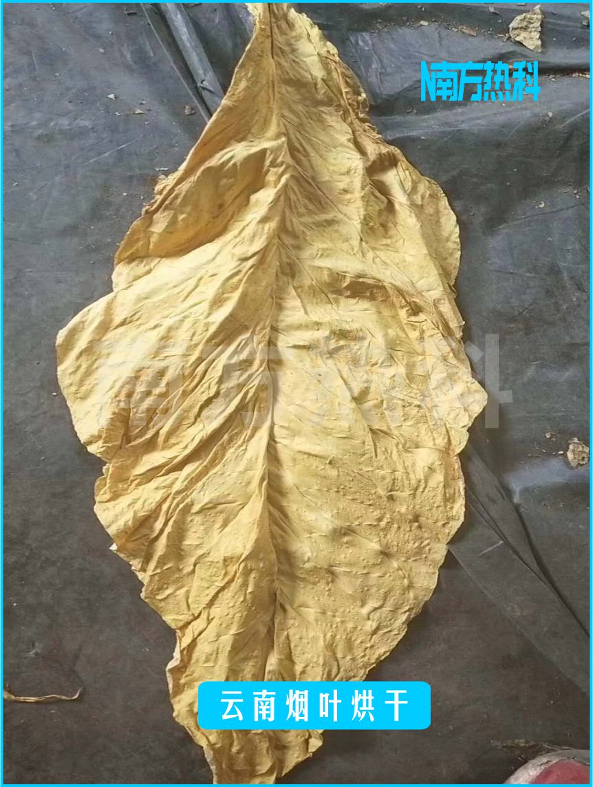 云南烟叶烘干(图4)