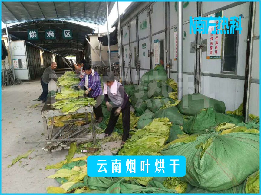 云南烟叶烘干(图2)
