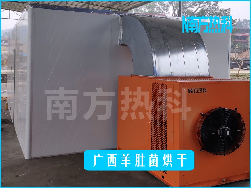 广西羊肚菌烘干(图1)