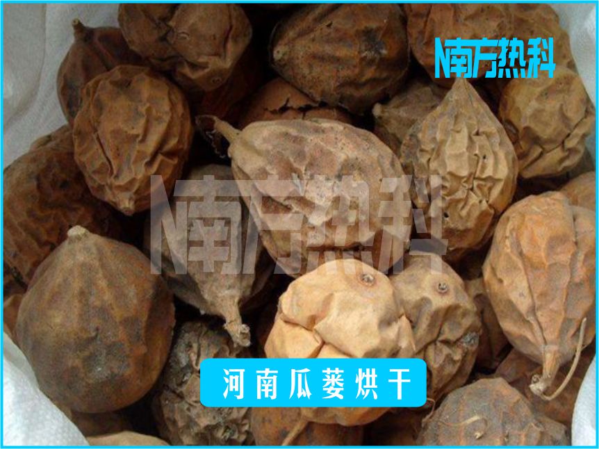河南瓜蒌烘干(图4)