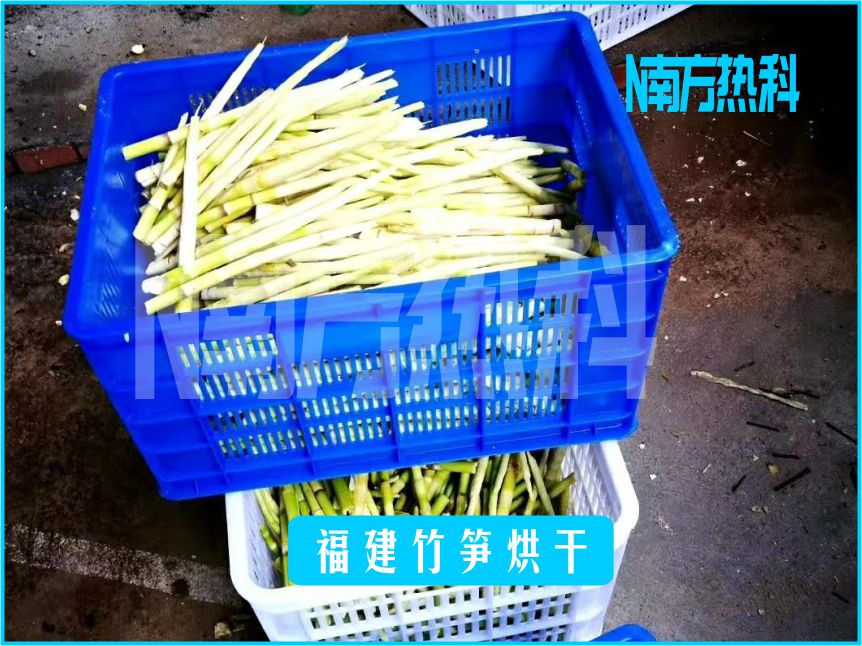 福建竹笋烘干(图3)