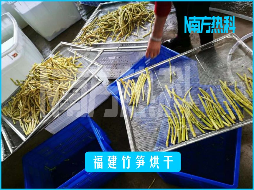 福建竹笋烘干(图4)