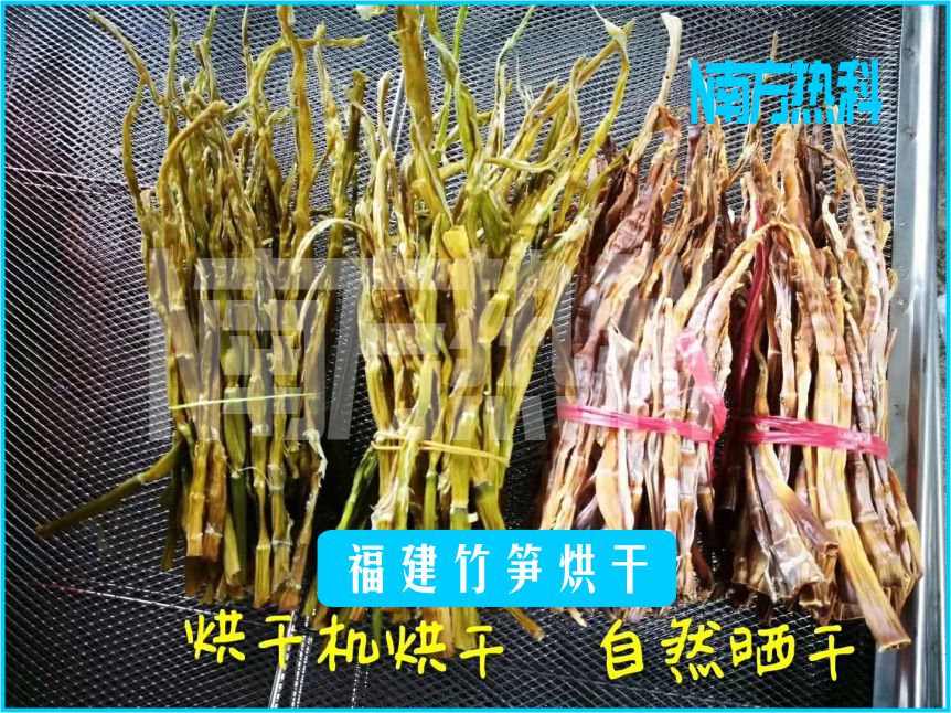 福建竹笋烘干(图6)