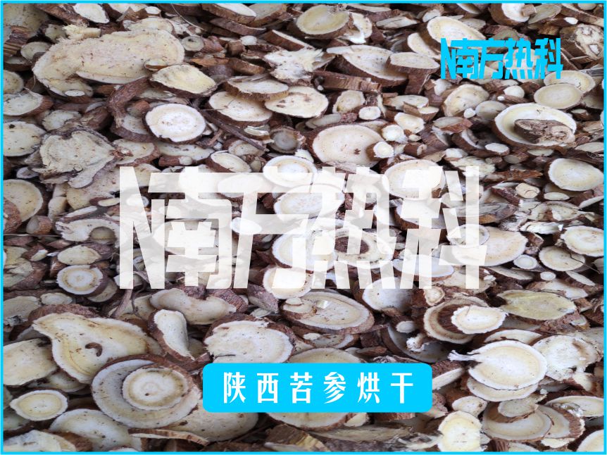 陕西苦参烘干(图2)