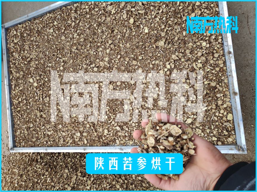 陕西苦参烘干(图4)