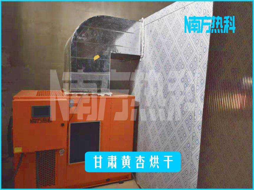 甘肃黄杏烘干(图2)