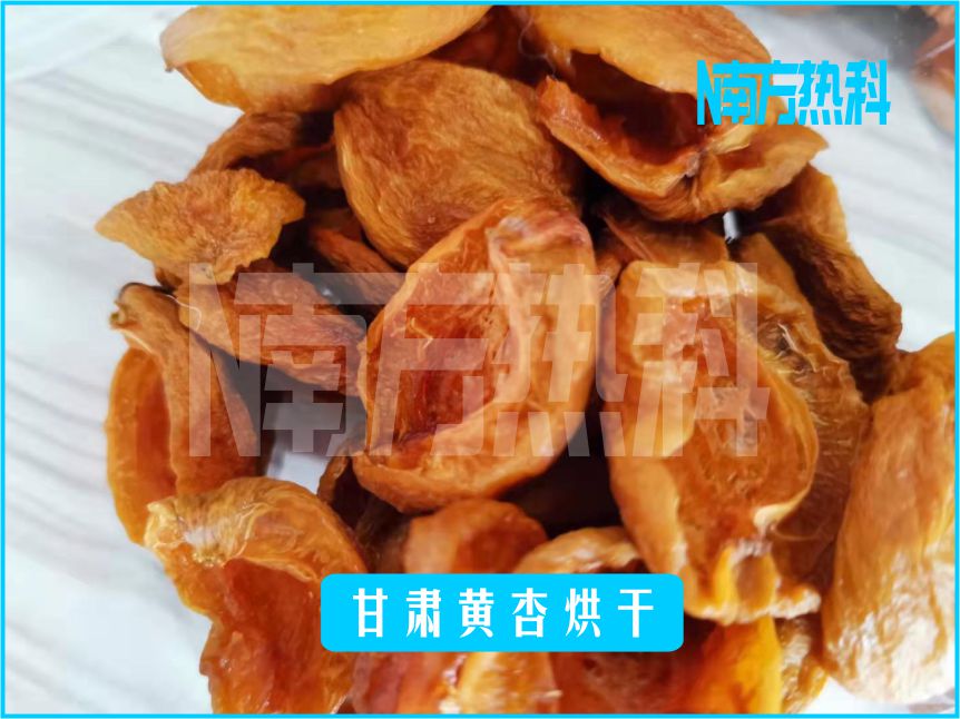 甘肃黄杏烘干(图4)