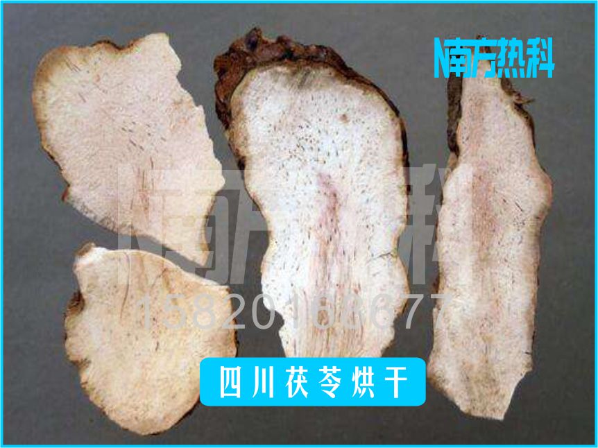 四川茯苓烘干(图2)
