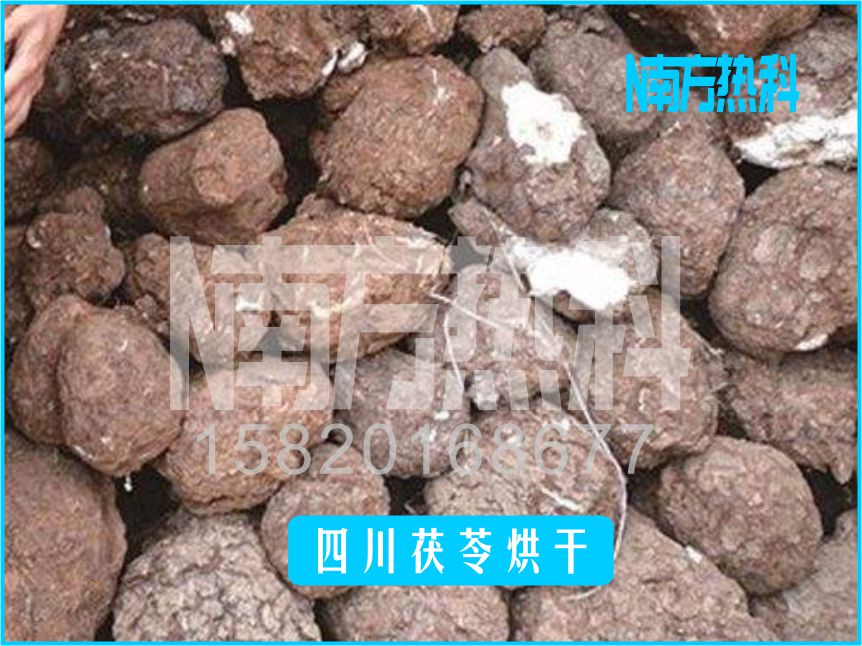 四川茯苓烘干(图4)