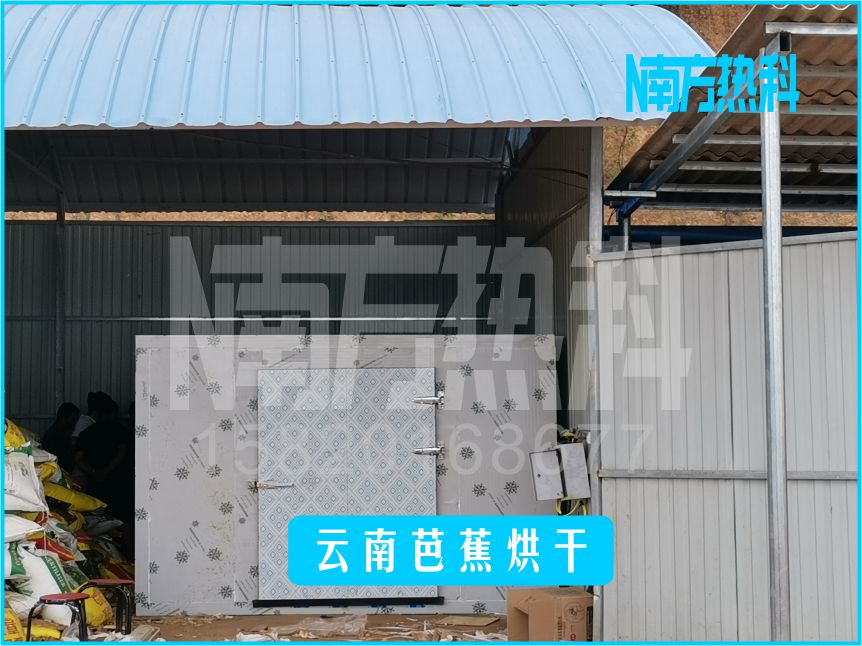 云南芭蕉烘干(图2)