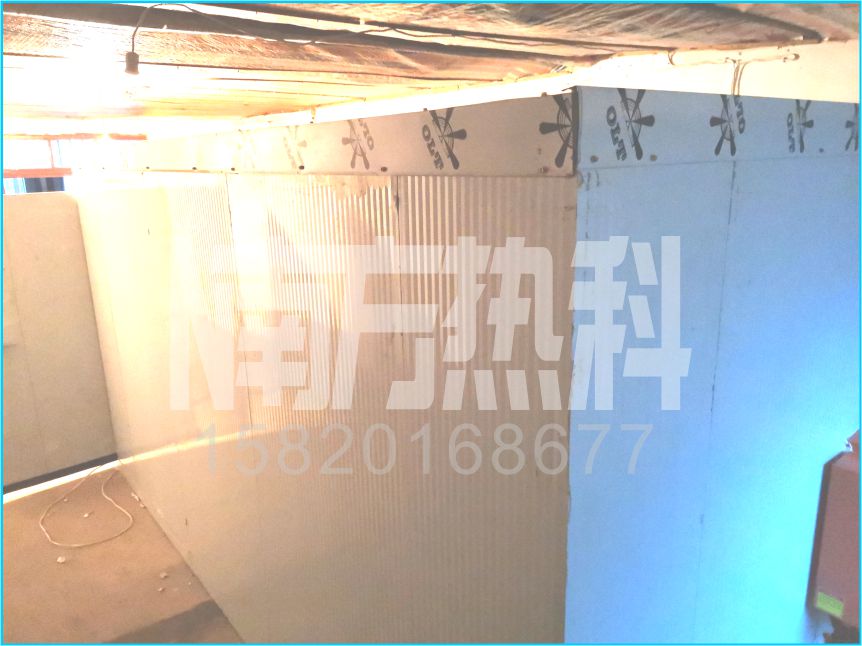 陕西银杏叶烘干(图2)